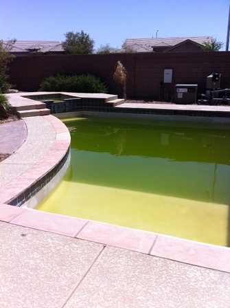 dirty pool before